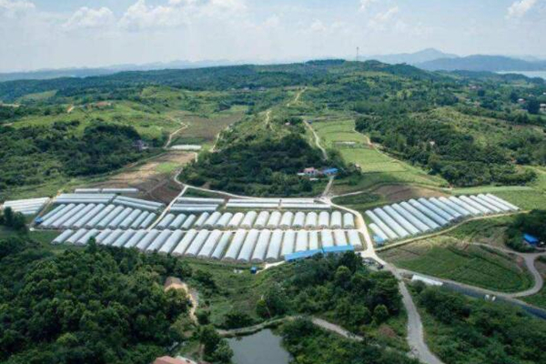 云浮現代農業產業園消防改造工程項目 云浮現代農業產業園消防改造工程項目